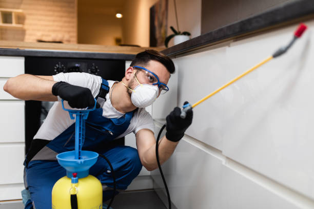 Best Wasp Removal Services  in Meridian, TX