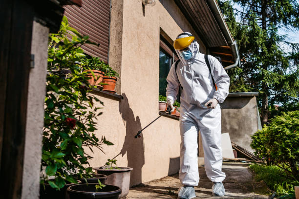 Best Insect Control  in Meridian, TX
