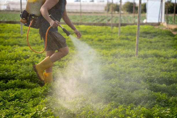 Best Pest Control Treatment  in Meridian, TX