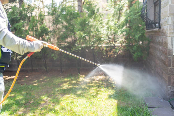 Best Best Pest Control Companies  in Meridian, TX