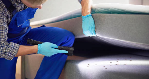 Best Pest Inspection Near Me  in Meridian, TX