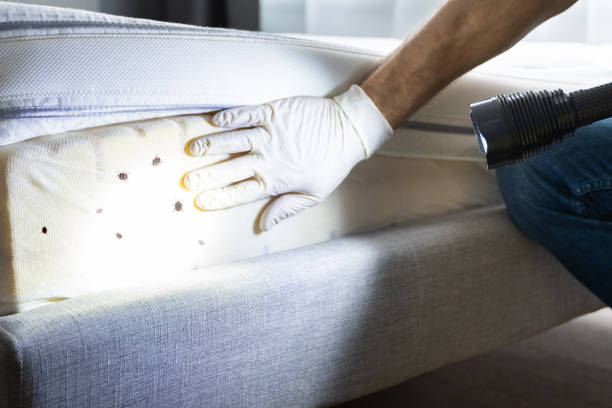 Best Best Pest Control Companies  in Meridian, TX